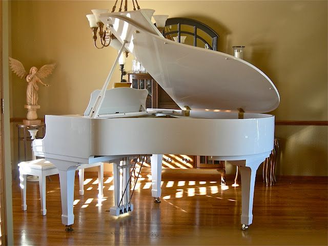 Tư vấn cách chọn đàn piano dành cho trẻ em - hình ảnh 2 Tư vấn cách chọn đàn piano dành cho trẻ em - hình ảnh 2