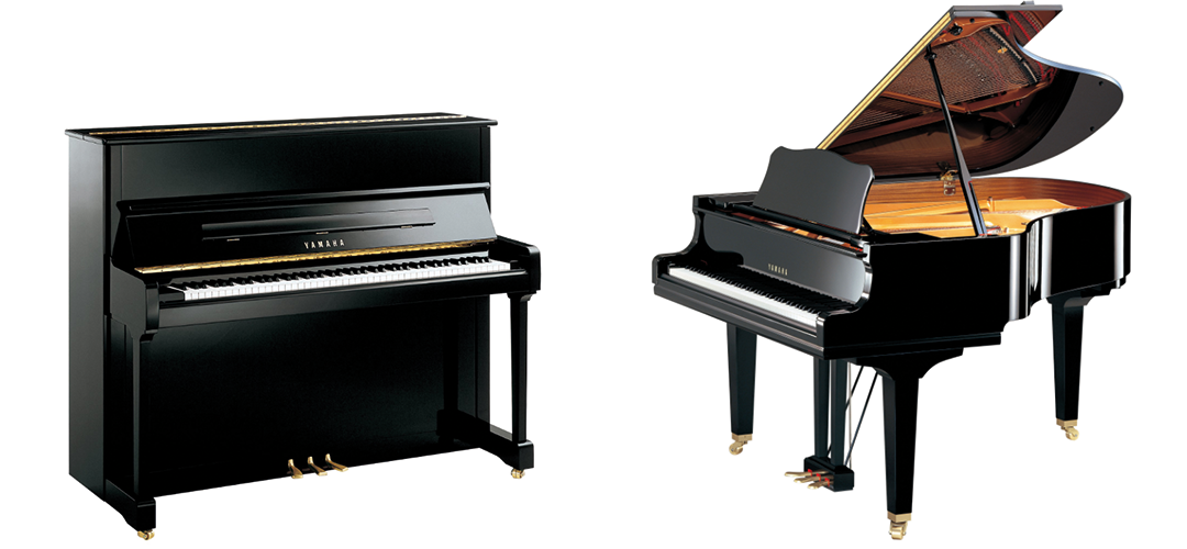 Nên mua đàn piano nào cho bé là tốt nhất? Nên mua đàn piano nào cho bé là tốt nhất?