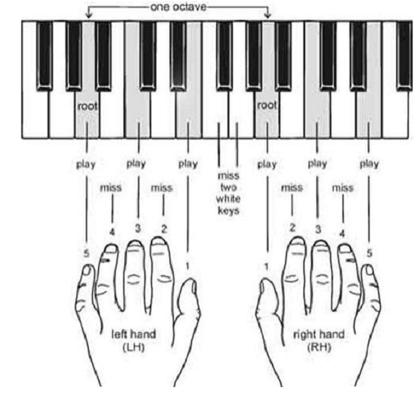 Hướng dẫn tự học piano tại nhà căn bản hình ảnh 3 Hướng dẫn tự học piano tại nhà căn bản hình ảnh 3