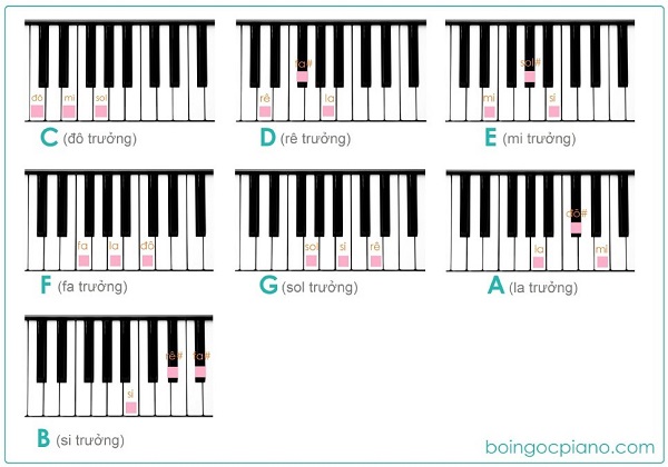 Hướng dẫn tự học piano tại nhà căn bản hình ảnh 4 Hướng dẫn tự học piano tại nhà căn bản hình ảnh 4