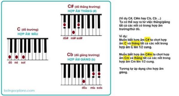 Hướng dẫn tự học piano tại nhà căn bản hình ảnh 6 Hướng dẫn tự học piano tại nhà căn bản hình ảnh 6