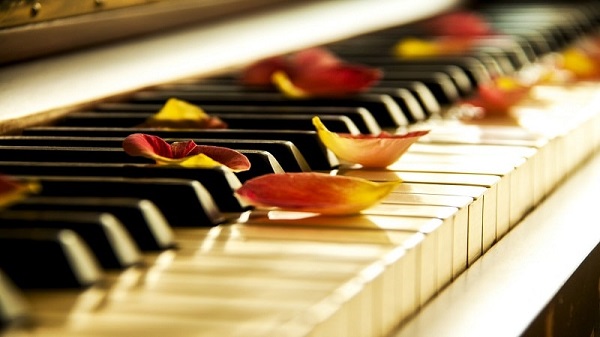 Tổng hợp các bản nhạc piano hay nhất hiện nay hình ảnh 4 Tổng hợp các bản nhạc piano hay nhất hiện nay hình ảnh 4