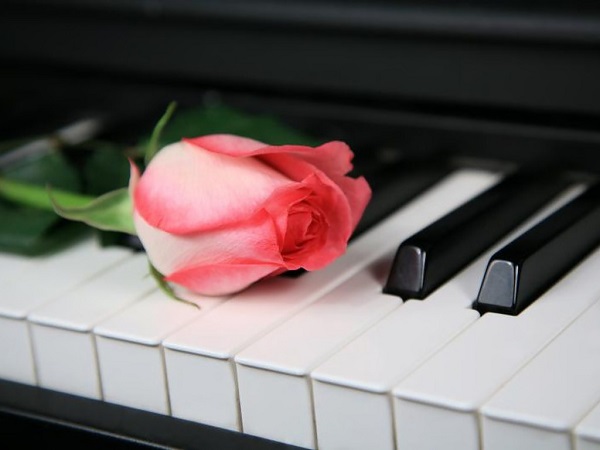 Chỉ ba mẹ cách hướng dẫn đàn piano cho bé ở nhà đơn giản hình ảnh 2 Chỉ ba mẹ cách hướng dẫn đàn piano cho bé ở nhà đơn giản hình ảnh 2