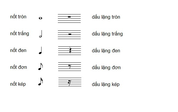 Một số kiến thức cần thiết khi học nhạc lý piano cơ bản cho những "tân binh" hình ảnh 2