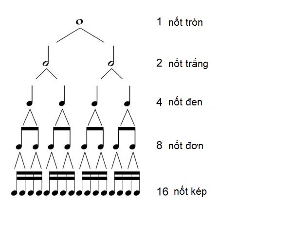 Một số kiến thức cần thiết khi học nhạc lý piano cơ bản cho những "tân binh" hình ảnh 3