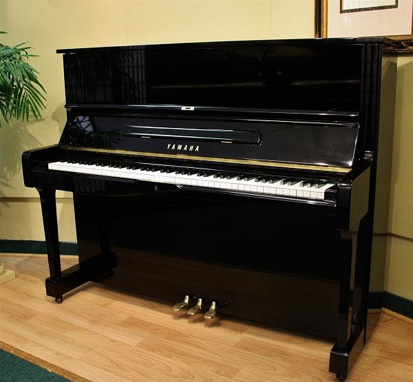 Những lưu ý không thể bỏ qua khi mua đàn piano giá rẻ hà nội chất lượng và hiệu quả nhất hình ảnh 1 Những lưu ý không thể bỏ qua khi mua đàn piano giá rẻ hà nội chất lượng và hiệu quả nhất hình ảnh 1