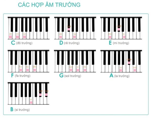 Các hợp âm cơ bản piano quen thuộc hình ảnh 3 Các hợp âm cơ bản piano quen thuộc hình ảnh 3
