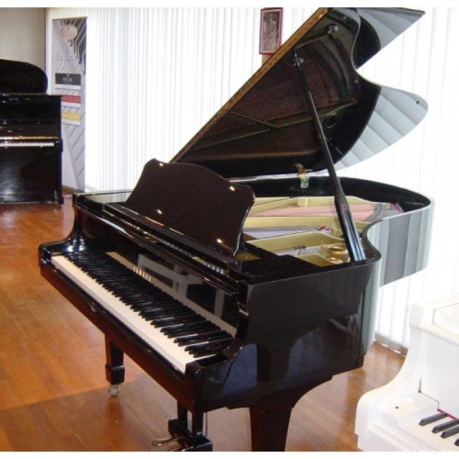 Cho bé tham gia các lớp học đàn piano ở quận Hoàng Mai Hà Nội có thực sự hữu ích? hình ảnh 2 Cho bé tham gia các lớp học đàn piano ở quận Hoàng Mai Hà Nội có thực sự hữu ích? hình ảnh 2