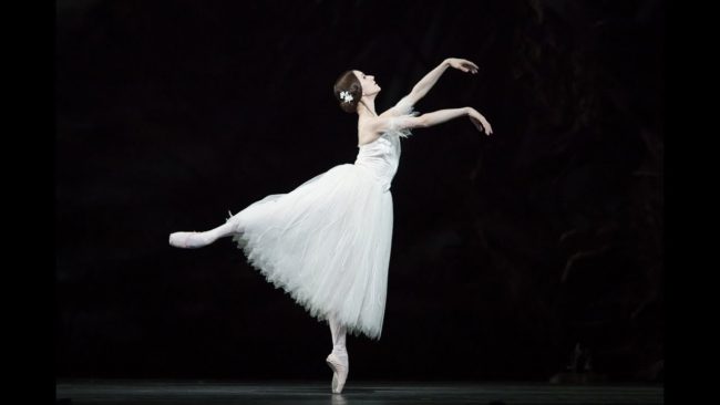 Các địa điểm bán đồ múa ballet tốt ở quận 9 tp HCM hình ảnh 3. Các địa điểm bán đồ múa ballet tốt ở quận 9 tp HCM hình ảnh 3.