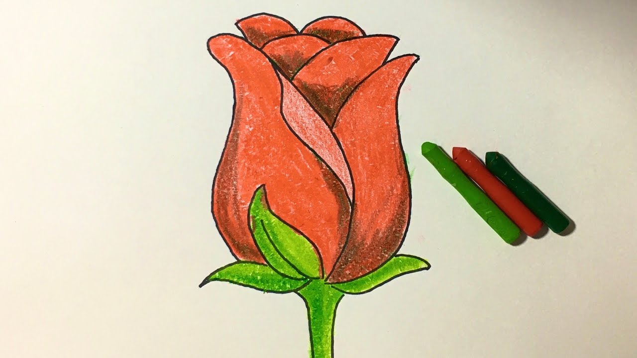 Hướng dẫn bé học vẽ hoa hồng cực kỳ đơn giản - Hình ảnh 1 Hướng dẫn bé học vẽ hoa hồng cực kỳ đơn giản - Hình ảnh 1